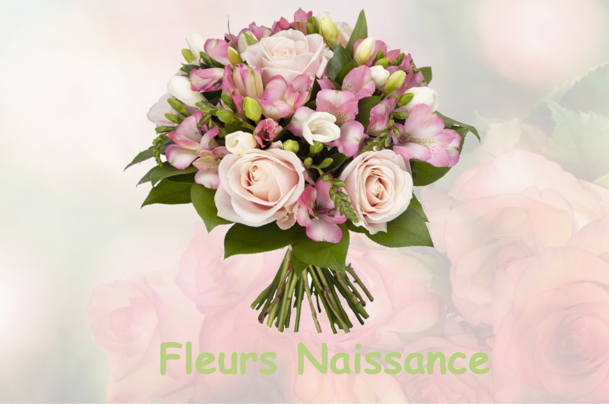 fleurs naissance NANTILLOIS