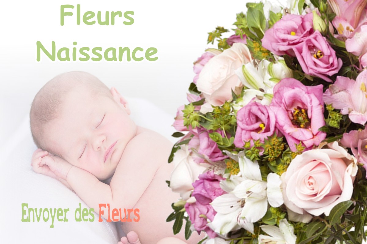 lIVRAISON FLEURS NAISSANCE à NANTILLOIS